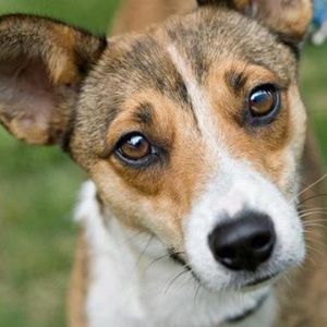 Meet your Posher, Christiane